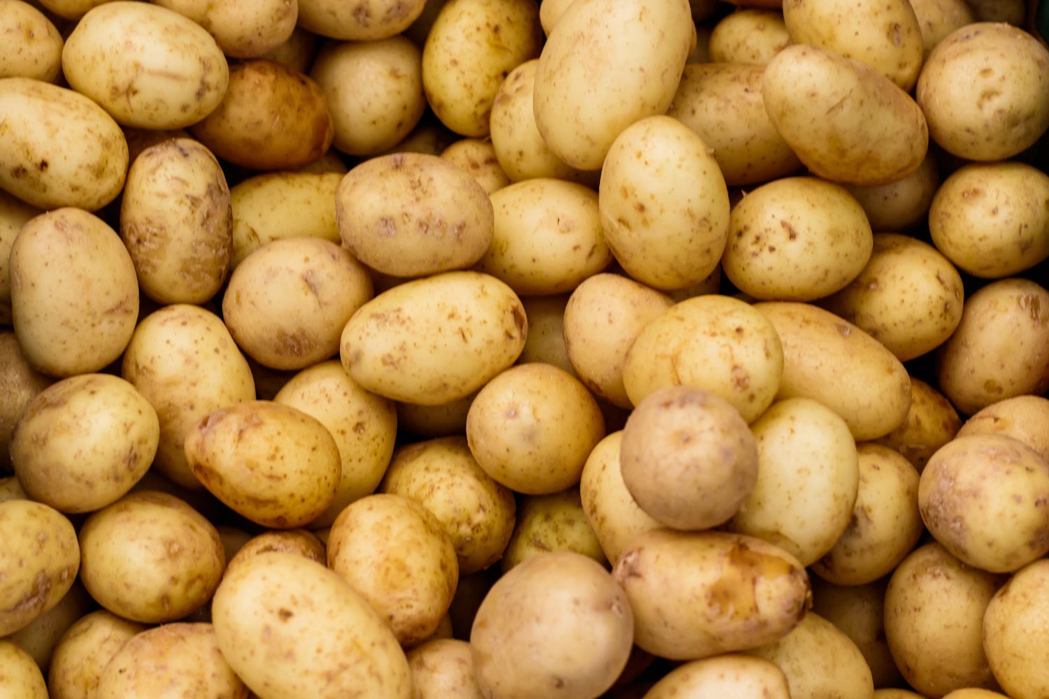 kartoffeln