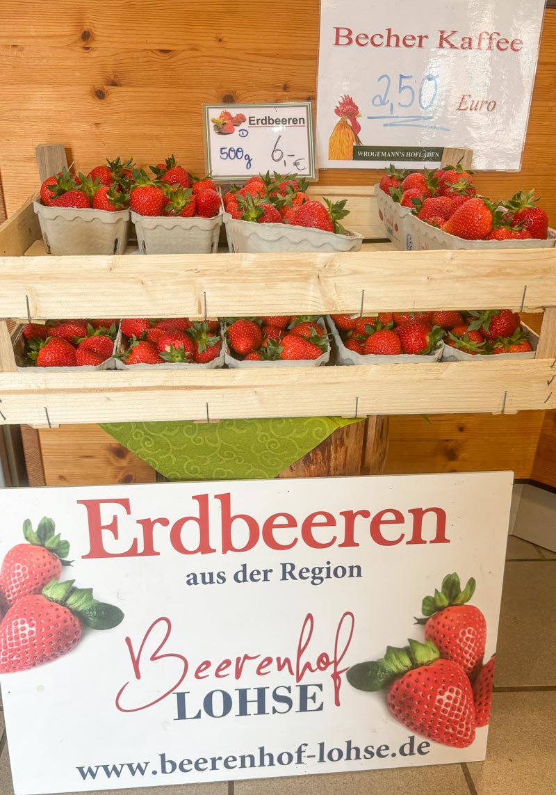 erdbeeren